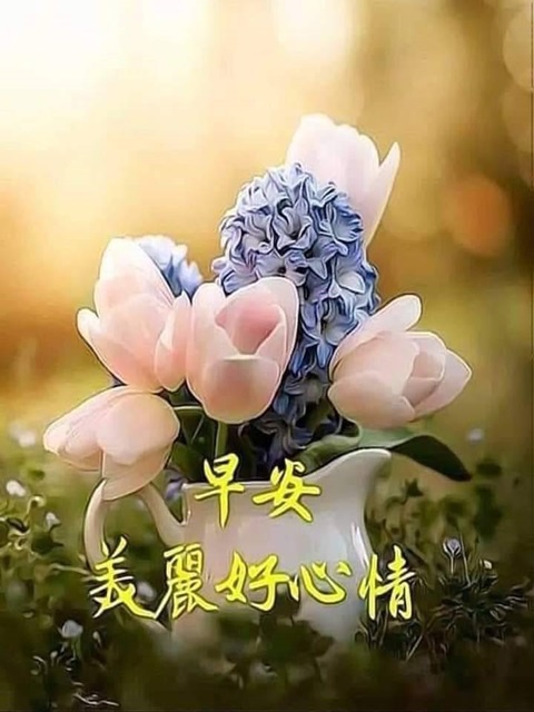 按我可連結至更清楚的圖片